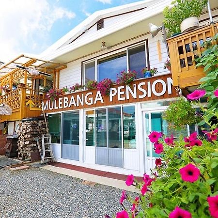 Osakae Anteo Mulraebang-A Pension ยางยาง ภายนอก รูปภาพ